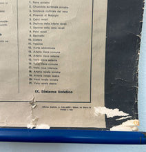 Load image into Gallery viewer, Antico Grafico didattico anatomia sistema linfatico