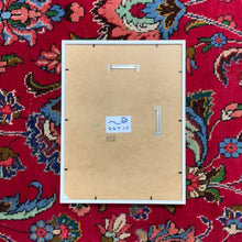 Load image into Gallery viewer, Photo Opportunity framed