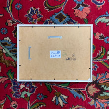 Load image into Gallery viewer, Fuck hoomans framed